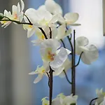 Donana 1027 Апартаменты *